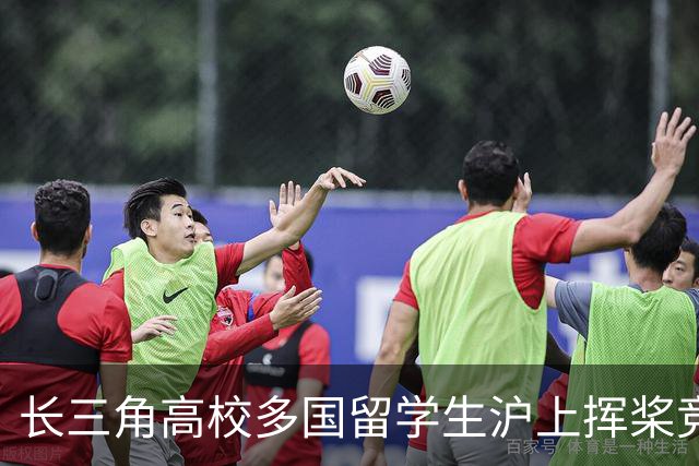 长三角高校多国留学生沪上挥桨竞渡 龙舟牵线感知中国